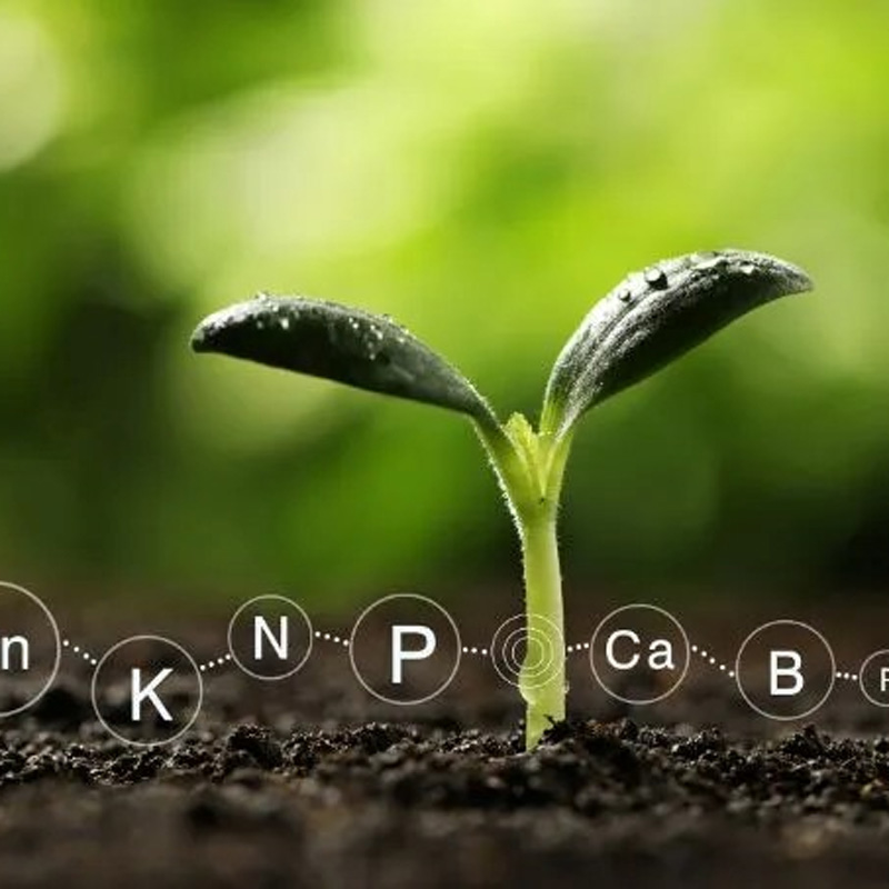 Bio-Khaad Application